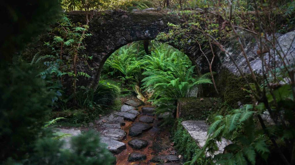 TNE-Things-To-Do-Sintra-Travel-Guide-Portugal-Pena-Palace-Gardens-24-1024x576
